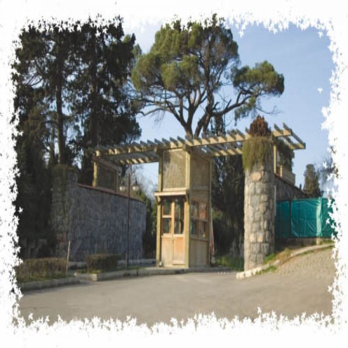 Giriş Takları 5003